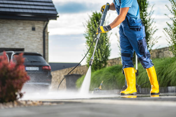 Animal Enclosure Cleaning in Jordan, MN